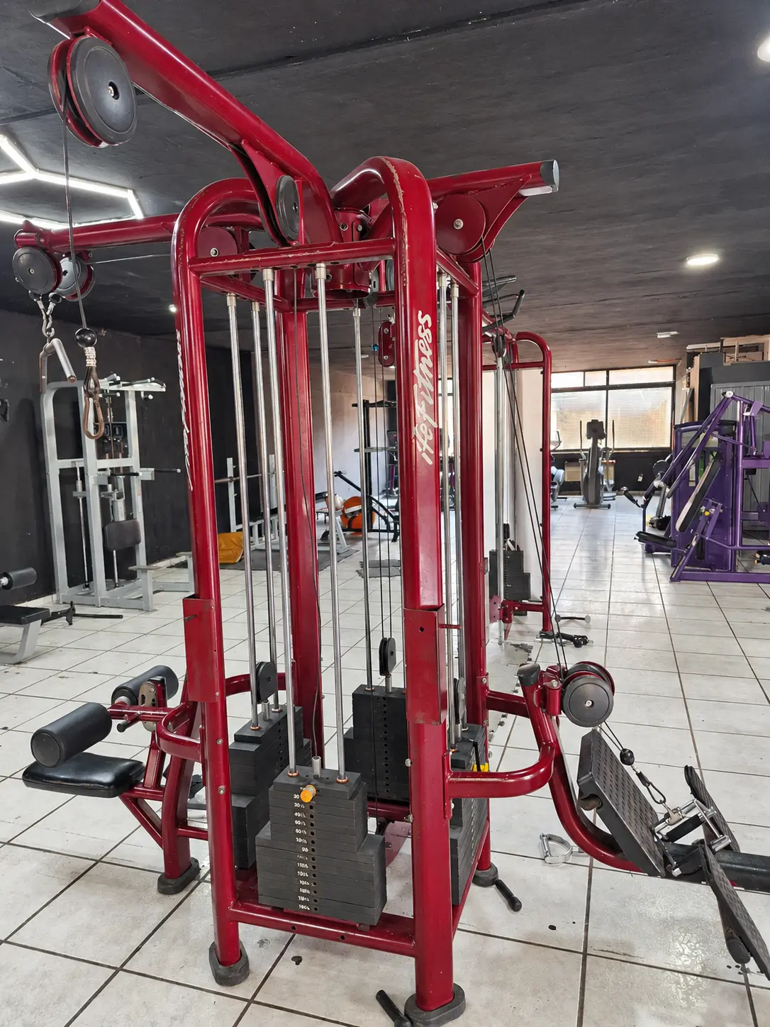 Estación de poleas Life Fitness en Forte Gym