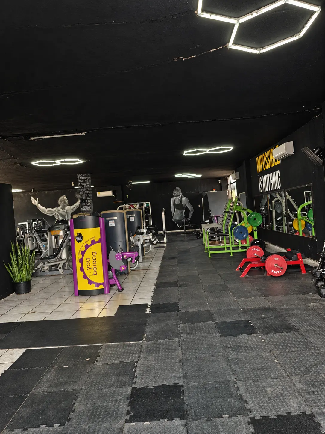 Vista amplia del gimnasio con equipos de fuerza